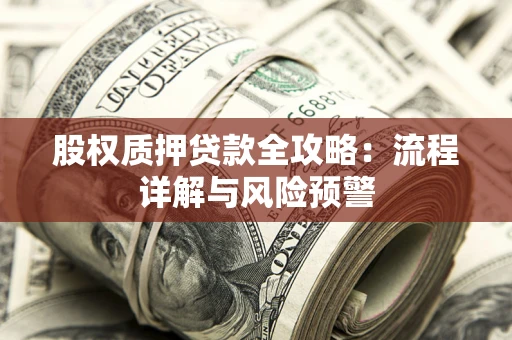 武汉股权质押贷款全攻略：流程详解与风险预警